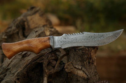 HS-307 Damascus Steel Handmade Hand Forged Olive Wood handle Bowie Knife,with sheath
