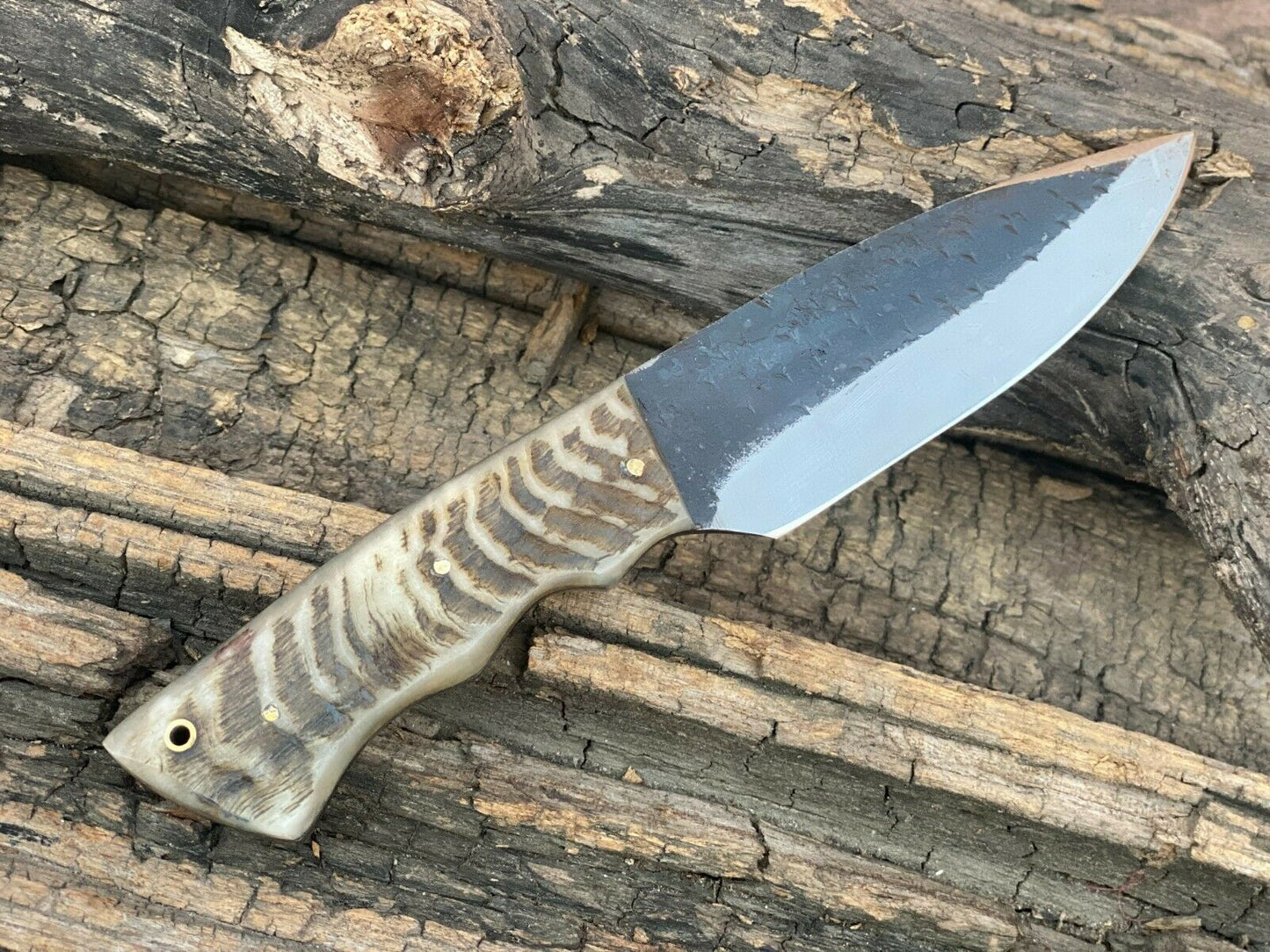 HS-468 Custom Handmade High Carbon Steel Hunting knife With Ram Horn Handle