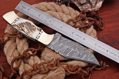HS-432 | Custom Handmade Damascus Steel Hunitng Knife - Stag Horn Handle
