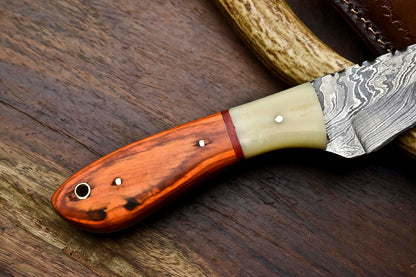 HS-684 Custom Handmade Damascus Steel Skinner Knife - Beautiful Bone Wood Handle