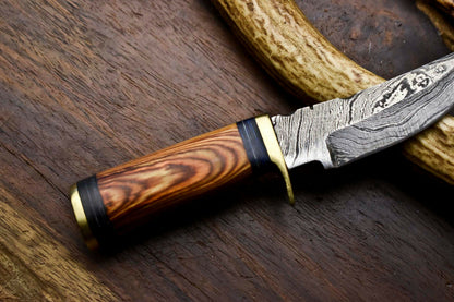 HS-717 Custom Handmade Awesome Wood Handle Damascus Steel Skinner Knife - Best Price