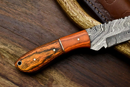 HS-670 Custom Handmade Damascus Steel Skinner Knife - Beautiful Hard Wood Handle