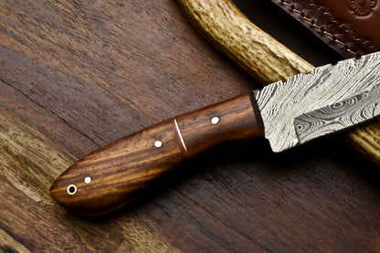 HS-682 Custom Handmade Damascus Steel Skinner Knife - Beautiful Wood Handle
