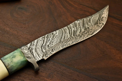 HS-329 | Custom Handmade Damascus Steel Hunitng/Bowie Knife - Colour Camel Bone Handle