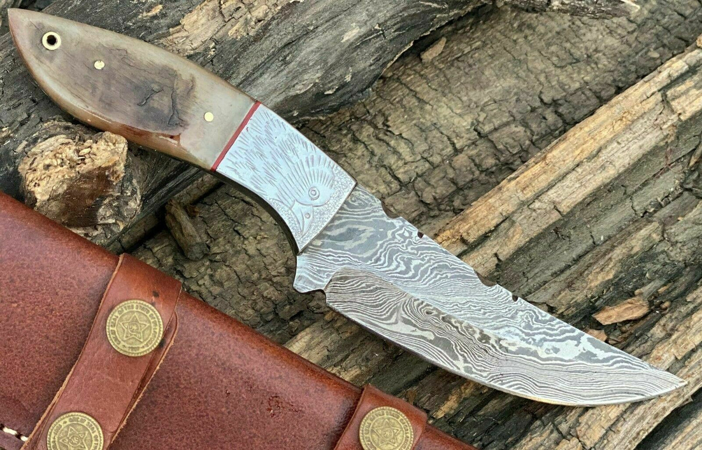 HS-771 Handmade Damascus Steel Hunting Engraved Eagle Skinner Knife "Ram Horn Handle"11