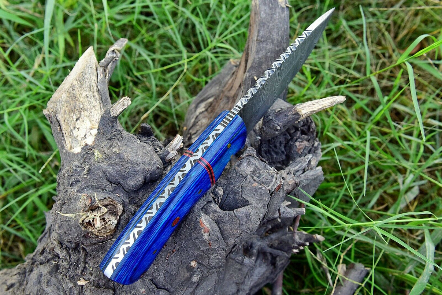 Damascus Skinner Knife – Full Tang | Pakkawood Handle | HS-557