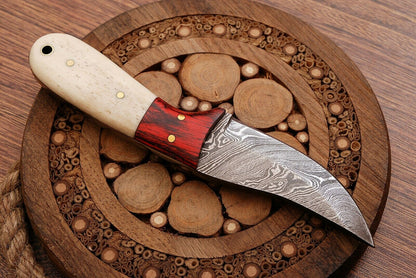 HS-758 Custom Handmade Damascus Steel Skinner Knife 6.0 inch Overall And Camel Bone+Hard Wood Handle