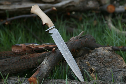 HS-367 '' Damascus Steel Hunting Bowie Knife, Survival knife, Damascus Steel, Chinaar Wood
