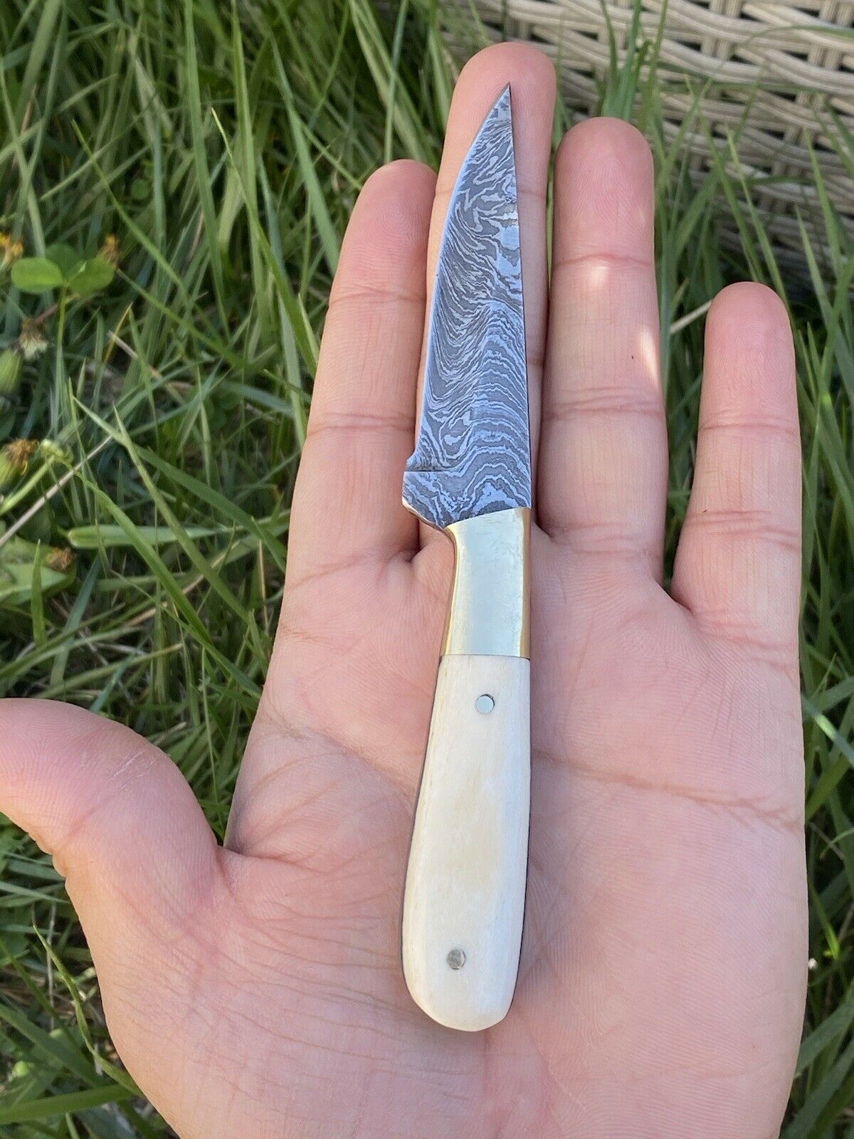 HS-725 Custom Handmade Damascus Steel Skinner Knife - Camel Bone Handle