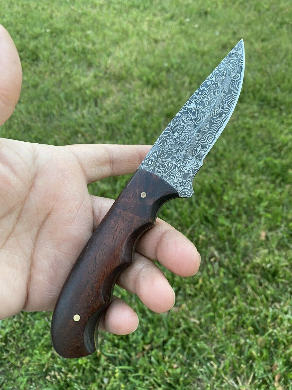 HS-731 Custom Handmade Damascus Steel Skinner Knife - Wood  Handle