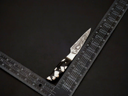 HS-100 Handmade Damascus Steel Chef Knife Set – Full Tang, 288 Layers, Leather Sheath