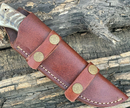HS-468 Custom Handmade High Carbon Steel Hunting knife With Ram Horn Handle