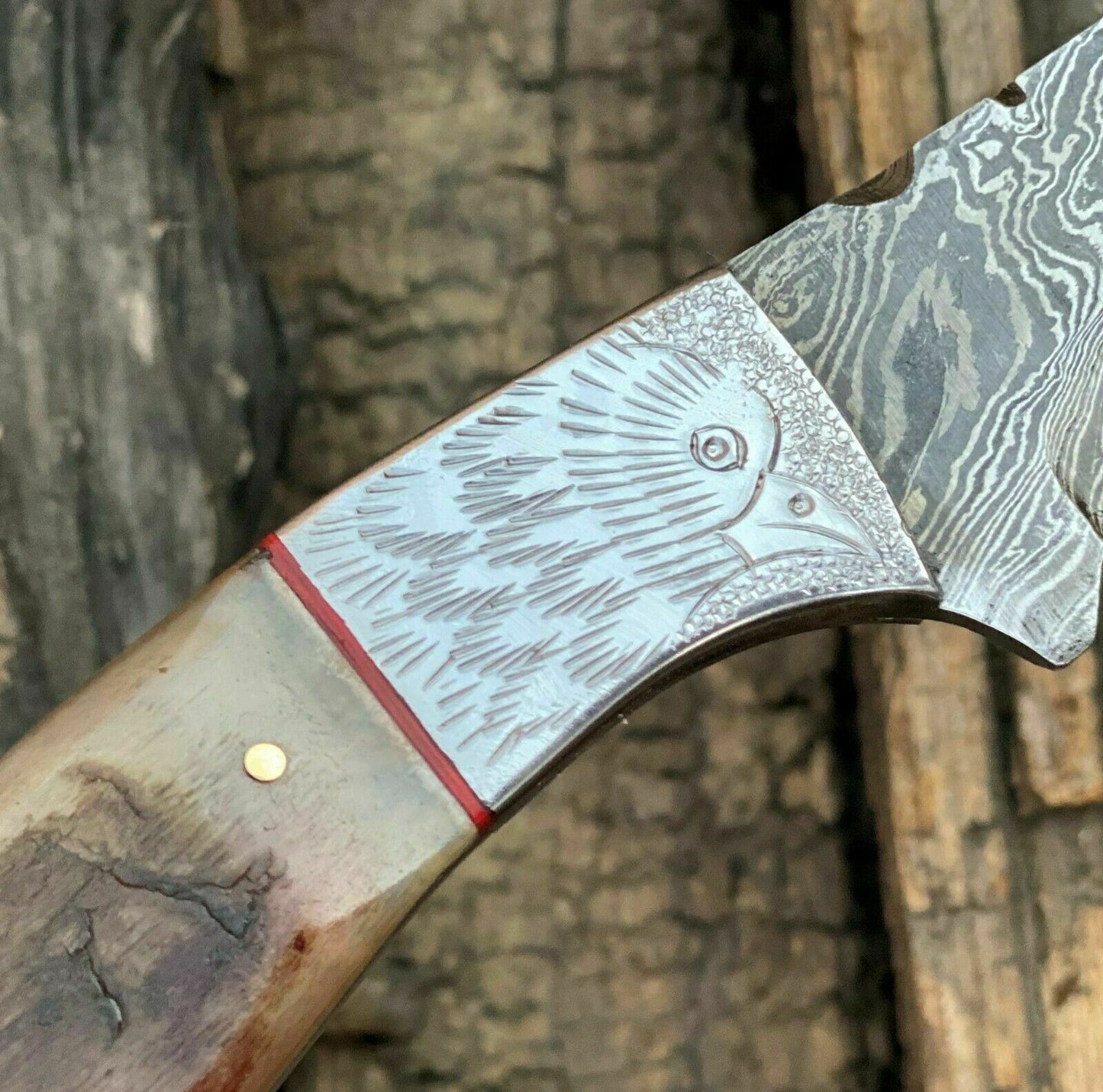 HS-771 Handmade Damascus Steel Hunting Engraved Eagle Skinner Knife "Ram Horn Handle"11