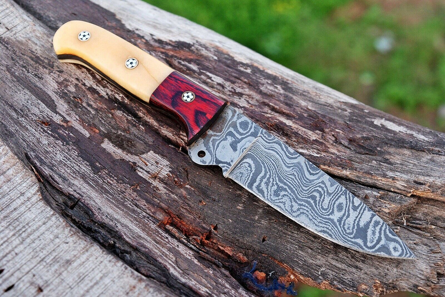 HS-726 Custom Handmade Damascus Steel Skinner Knife - Hard Wood + Bone Handle