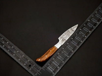 Damascus Steel Chef Knife Set – Full Tang | HS-101
