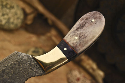 HS-840 Custom Handmade Damascus Skinner Knife With Stained Camel Bone Handle