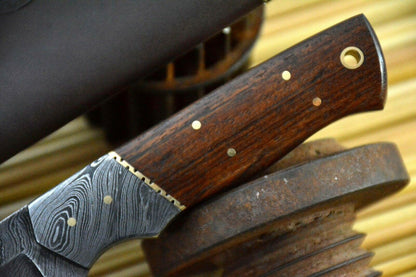 HS-846 Custom Handmade Damascus Skinner Knife With Walnut Wood Handle
