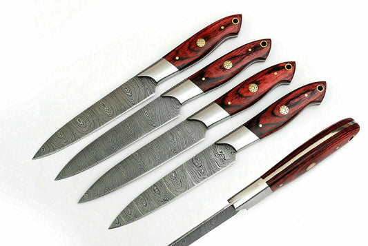 HS-226 Custom Handmade Damascus Kitchen-Chef Knives Set Lot Of Four Pecs With Wood Handle