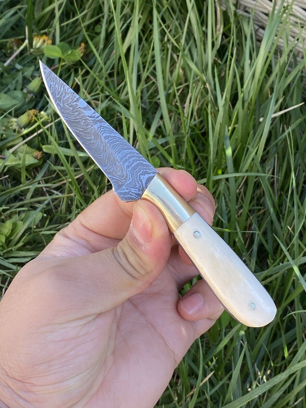 HS-725 Custom Handmade Damascus Steel Skinner Knife - Camel Bone Handle