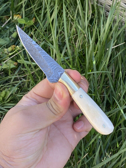 HS-725 Custom Handmade Damascus Steel Skinner Knife - Camel Bone Handle