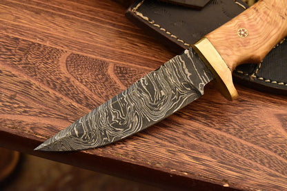 HS-831  Custom Handmade Damascus Skinner Knife With Beautiful Olive wood  Handle