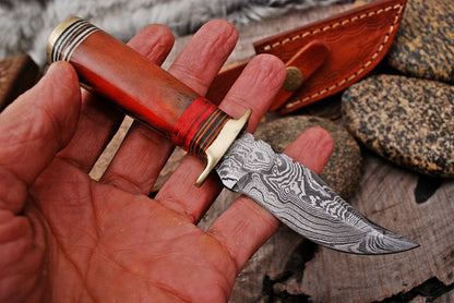 HS-792 Custom Handmade Damascus Skinner Knife With Hard Wood + Bone Handle