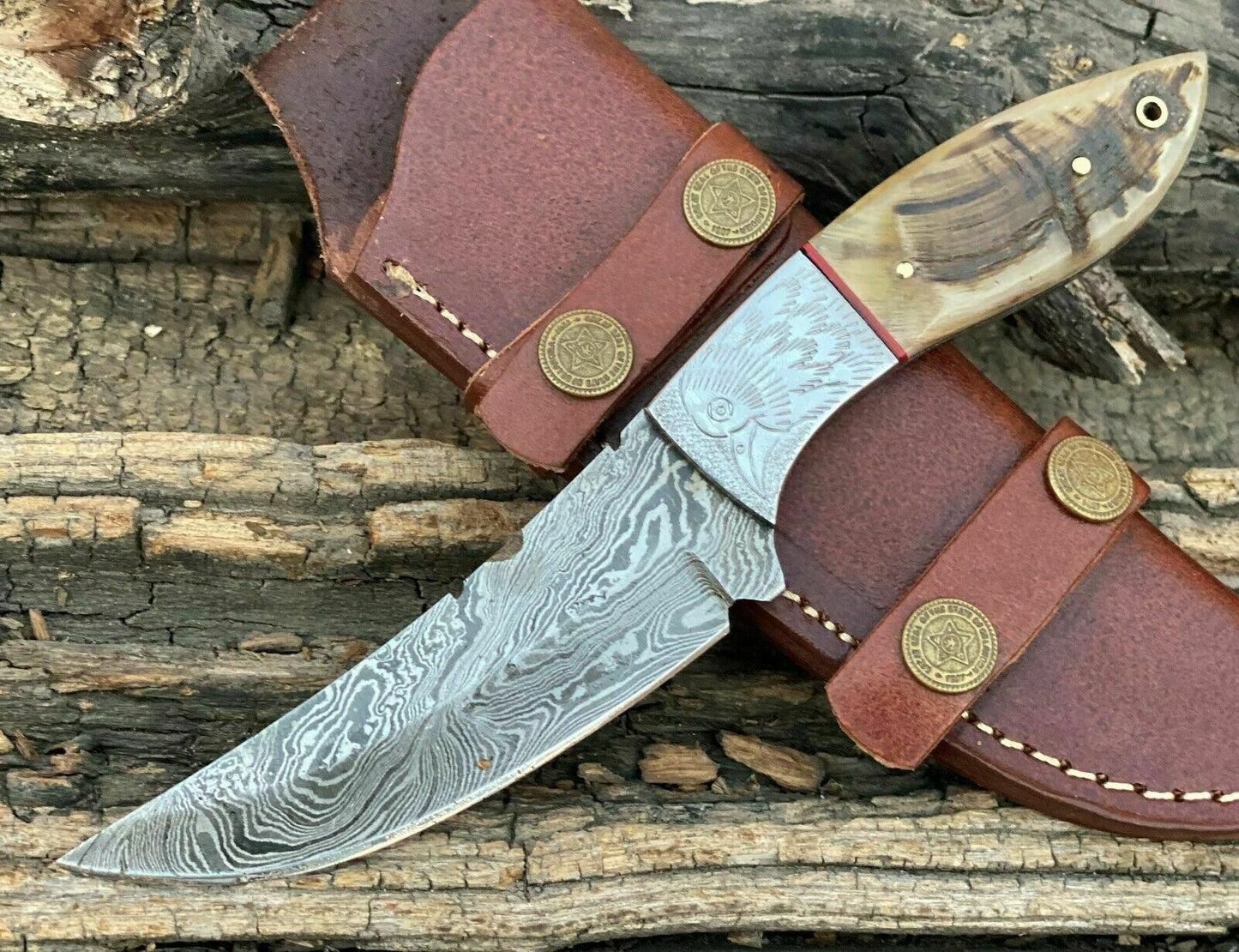 HS-771 Handmade Damascus Steel Hunting Engraved Eagle Skinner Knife "Ram Horn Handle"11