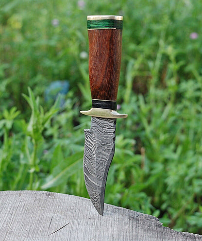 HS-790 Custom Handmade Damascus Skinner Knife With Hard Wood Handle