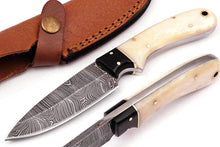 Load image into Gallery viewer, HS-782 Custom Handmade Damascus Skinner Knife With Bufflo Horn &amp; Bone Handle
