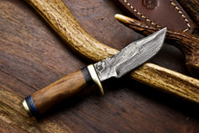 Load image into Gallery viewer, HS-716 Custom Handmade Awesome Walunt Wood Handle Damascus Steel Skinner Knife With Best Price
