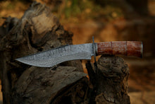 Load image into Gallery viewer, HS-305 Fixed blade Handmade Damascus Steel Hunting Knife, Dye Color Bone Handle,
