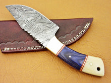 Load image into Gallery viewer, HS 769 Custom Handmade Damascus Skinner Knife With Hard Wood And Camel Bone
