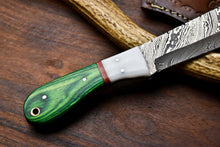 Load image into Gallery viewer, HS-1001 | Custom Handmade Damascus Steel Bull Cutter Knife - Beautiful Hard Wood Handle
