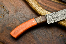 Load image into Gallery viewer, HS-621 Handmade Damascus Skinning Blade Camping Full Tang Knife
