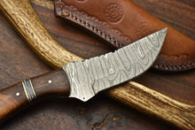 Load image into Gallery viewer, HS-597  Handmade Damascus Skinning Blade Camping Full Tang Knife
