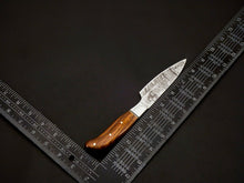 Load image into Gallery viewer, HS-101 Custom Hand Forged Damascus Steel Full Tang Chef Knife Set
