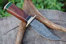 Load image into Gallery viewer, HS-790 Custom Handmade Damascus Skinner Knife With Hard Wood Handle
