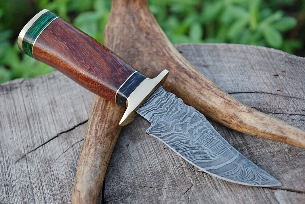 HS-790 Custom Handmade Damascus Skinner Knife With Hard Wood Handle