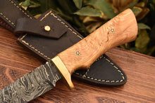 Load image into Gallery viewer, HS-831  Custom Handmade Damascus Skinner Knife With Beautiful Olive wood  Handle
