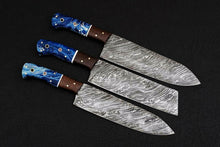 Load image into Gallery viewer, HS-209 Custom Handmade Damascus KItchen-Chef Knives Set Lot Of Three Pecs With Bone Handle
