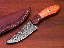 Load image into Gallery viewer, HS-806 Custom Handmade Damascus Skinner Knife With Hard Wood Handle
