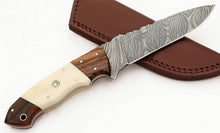 Load image into Gallery viewer, HS-820 Custom Handmade Damascus Skinner Knife With Camel Bone and Wood Handle
