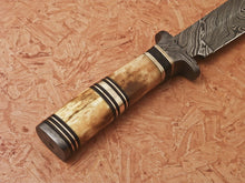 Load image into Gallery viewer, HS-348 | Custom Handmade Damascus Hunting /Bowie Knife With Bone Handle
