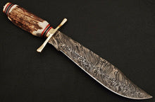 Load image into Gallery viewer, HS-344 | Custom Handmade Damascus Hunting/Bowie Knife With Stag Horn Handle
