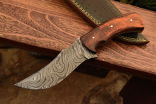 Load image into Gallery viewer, HS-837 Custom Handmade Damascus Skinner Knife With Hard Wood Handle
