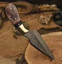 Load image into Gallery viewer, HS-840 Custom Handmade Damascus Skinner Knife With Stained Camel Bone Handle
