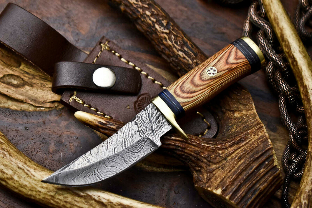 HS-717 Custom Handmade Awesome Wood Handle Damascus Steel Skinner Knife - Best Price