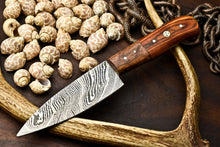 Load image into Gallery viewer, HS-279 Hand Made Damascus Steel Blade Chef Kitchen Full Tang Knife | Hard Wood
