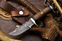 Load image into Gallery viewer, HS-716 Custom Handmade Awesome Walunt Wood Handle Damascus Steel Skinner Knife With Best Price
